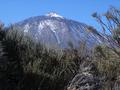 Teide - Fortalezza